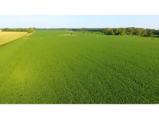 TRACT 6 - ILLINOIS LAND AUCTION - 4,810+/- ACRES OFFERED IN 85 TRACTS IN FRANKLIN, WILLIAMSON, HAMILTON & SALINE COUNTIES, ILLINOIS